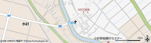 埼玉県行田市真名板2201周辺の地図