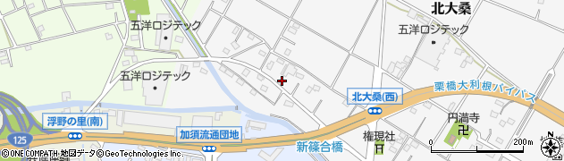 埼玉県加須市北大桑1193周辺の地図
