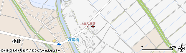 埼玉県行田市真名板2218周辺の地図