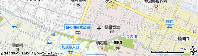埼玉県加須市向川岸町周辺の地図
