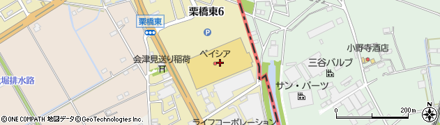 ピクニックコート 栗橋店周辺の地図