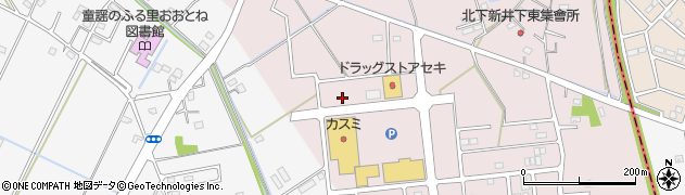 埼玉県加須市北下新井57周辺の地図