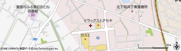 埼玉県加須市北下新井54周辺の地図
