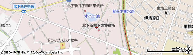 埼玉県加須市北下新井1989周辺の地図