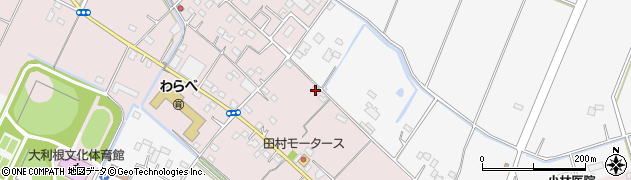 埼玉県加須市北下新井482周辺の地図