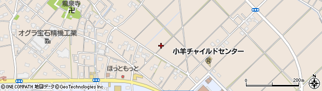 埼玉県行田市若小玉周辺の地図