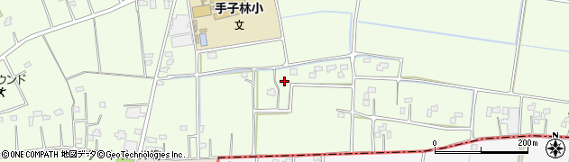 埼玉県羽生市下手子林445周辺の地図