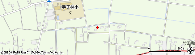 埼玉県羽生市下手子林448周辺の地図