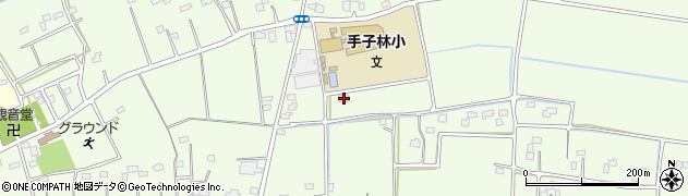 埼玉県羽生市下手子林604周辺の地図