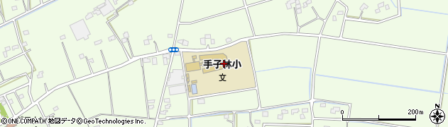 埼玉県羽生市下手子林555周辺の地図