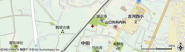 茨城県古河市中田新田1317周辺の地図