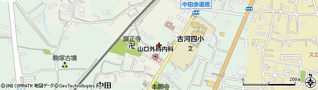 茨城県古河市中田新田1303周辺の地図