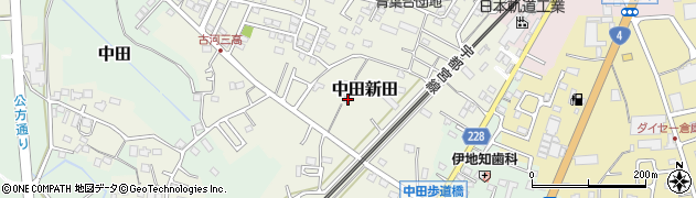 茨城県古河市中田新田49周辺の地図