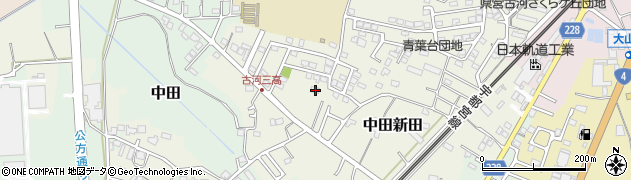 茨城県古河市中田新田29周辺の地図