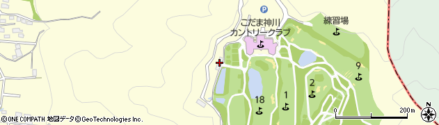 埼玉県児玉郡神川町渡瀬1249周辺の地図