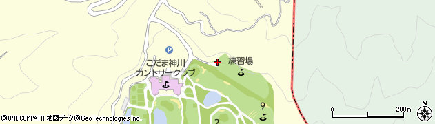 埼玉県児玉郡神川町渡瀬1489周辺の地図