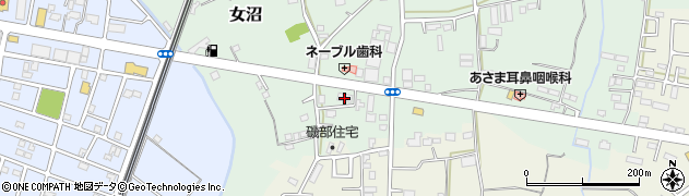 茨城県古河市女沼715周辺の地図