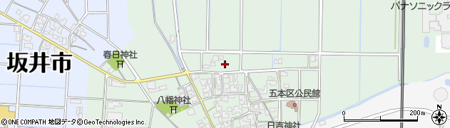 福井県坂井市坂井町五本周辺の地図