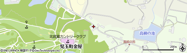 埼玉県本庄市児玉町高柳581周辺の地図