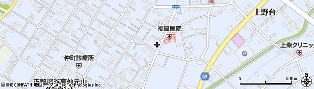 上野台大台周辺の地図