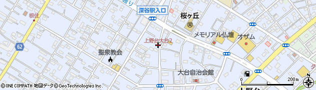 上野台大台2周辺の地図