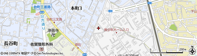茨城県古河市幸町8周辺の地図