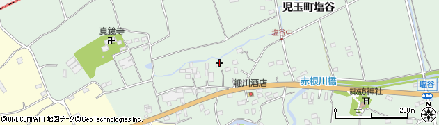 埼玉県本庄市児玉町塩谷周辺の地図