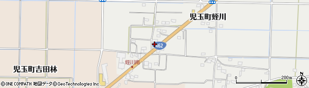 埼玉県本庄市児玉町蛭川394周辺の地図