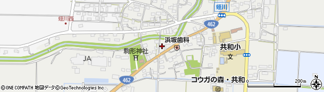 埼玉県本庄市児玉町蛭川177周辺の地図