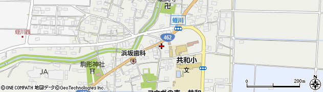 埼玉県本庄市児玉町蛭川923周辺の地図