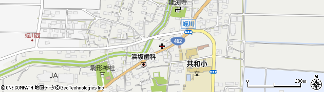 埼玉県本庄市児玉町蛭川171周辺の地図