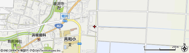 埼玉県本庄市児玉町蛭川966周辺の地図