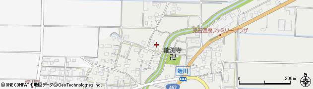 埼玉県本庄市児玉町蛭川1243周辺の地図