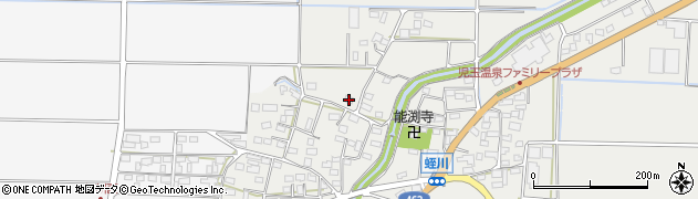 埼玉県本庄市児玉町蛭川1246周辺の地図
