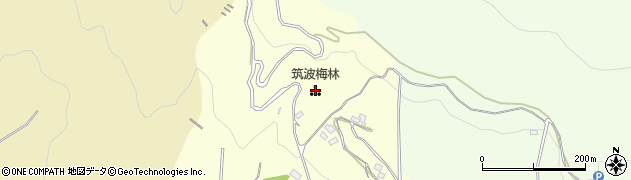 筑波山梅林周辺の地図