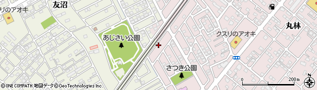 栃木県下都賀郡野木町丸林224周辺の地図