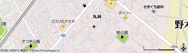 栃木県下都賀郡野木町丸林660-26周辺の地図