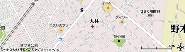 栃木県下都賀郡野木町丸林660-13周辺の地図