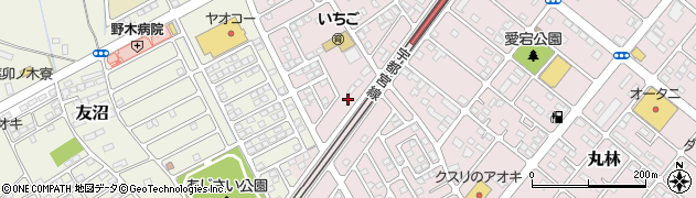 栃木県下都賀郡野木町丸林309周辺の地図