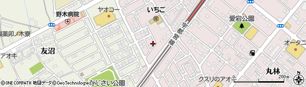 栃木県下都賀郡野木町丸林205-3周辺の地図