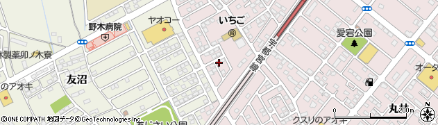栃木県下都賀郡野木町丸林205-6周辺の地図
