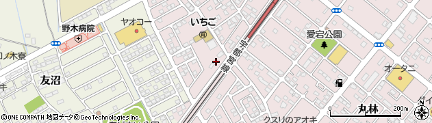栃木県下都賀郡野木町丸林310周辺の地図