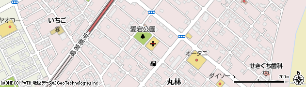 栃木県下都賀郡野木町丸林559周辺の地図