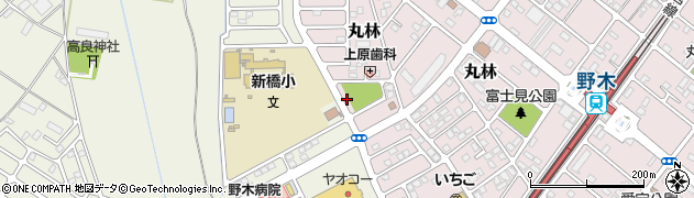 栃木県下都賀郡野木町丸林259周辺の地図