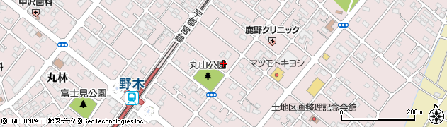 栃木県下都賀郡野木町丸林411周辺の地図