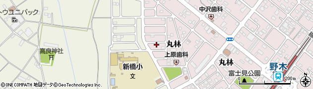 栃木県下都賀郡野木町丸林256周辺の地図