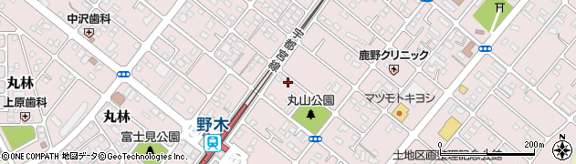栃木県下都賀郡野木町丸林412周辺の地図