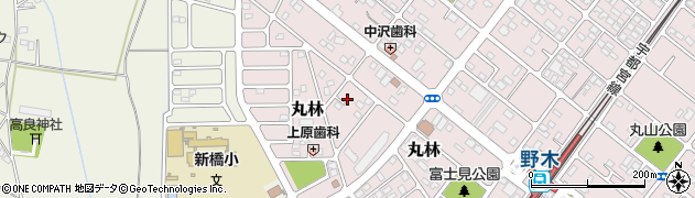 栃木県下都賀郡野木町丸林385周辺の地図