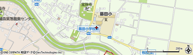 埼玉県本庄市牧西1157周辺の地図