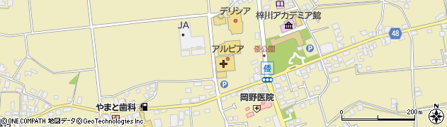 ココレーン松本店周辺の地図